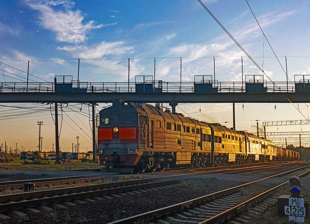 2ТЭ116-1631