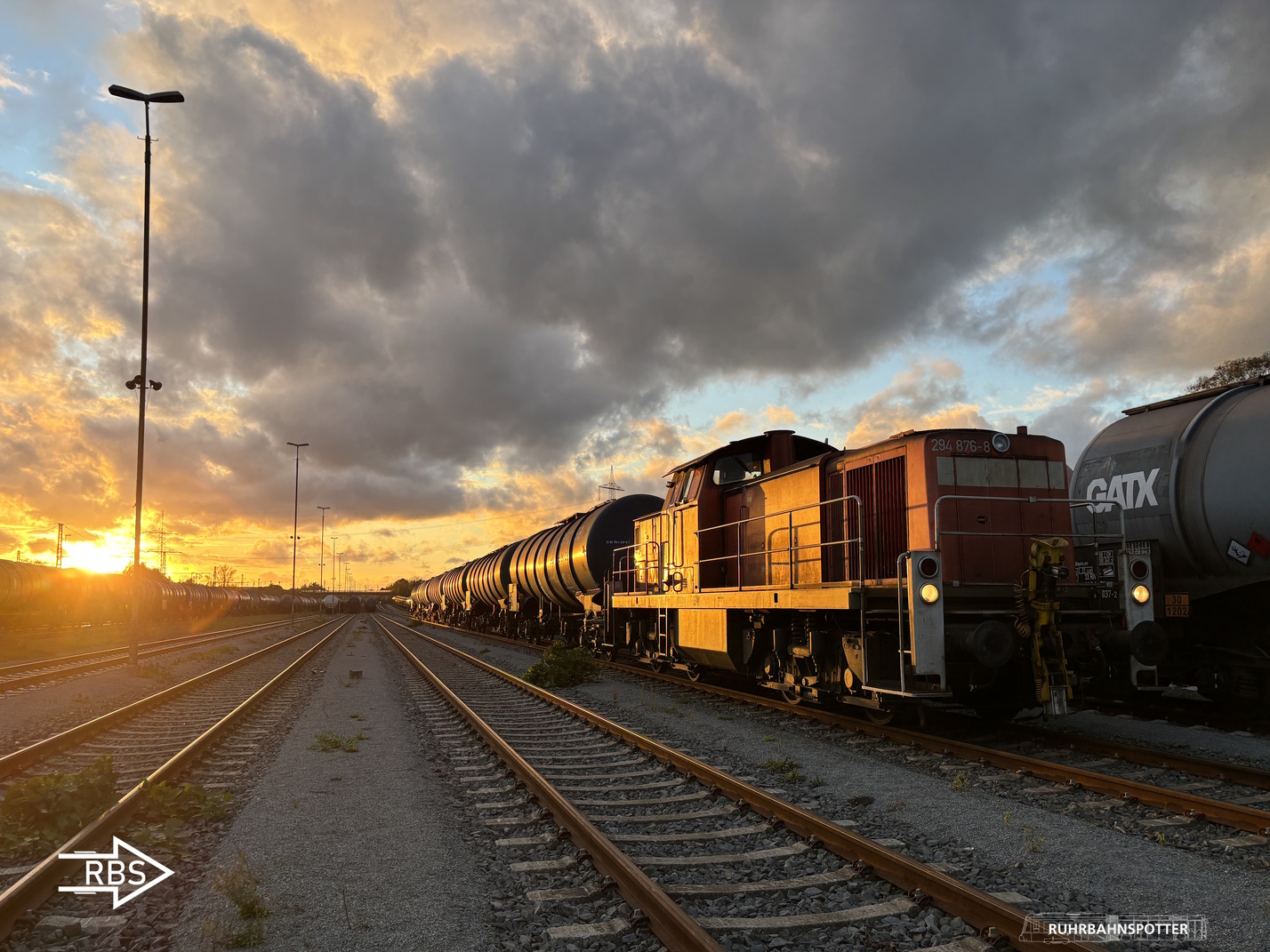 294 876-8