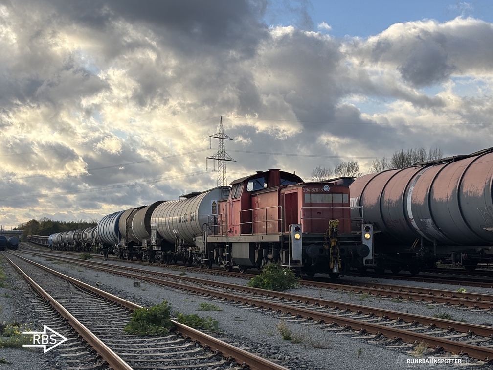 294 876-8