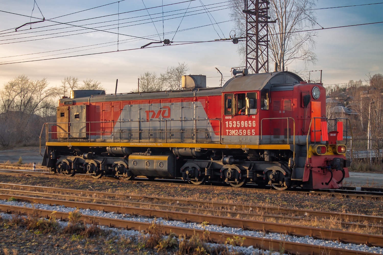 ТЭМ2-5965