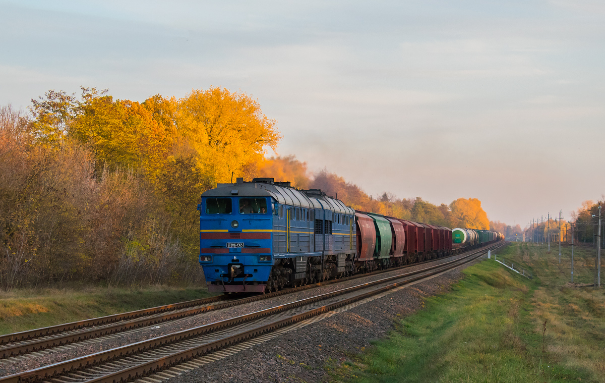 2ТЭ116-1365