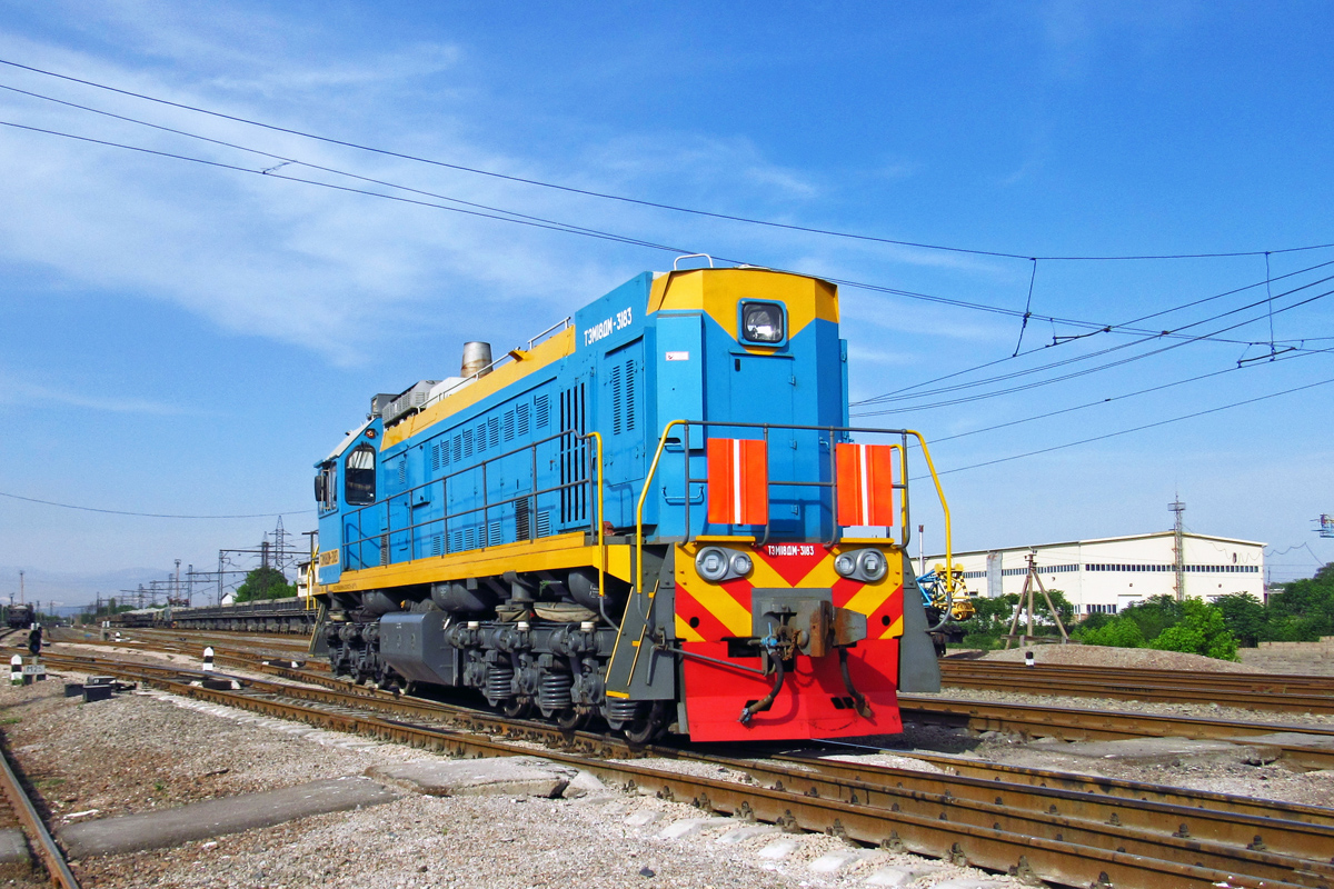 ТЭМ18ДМ-3183