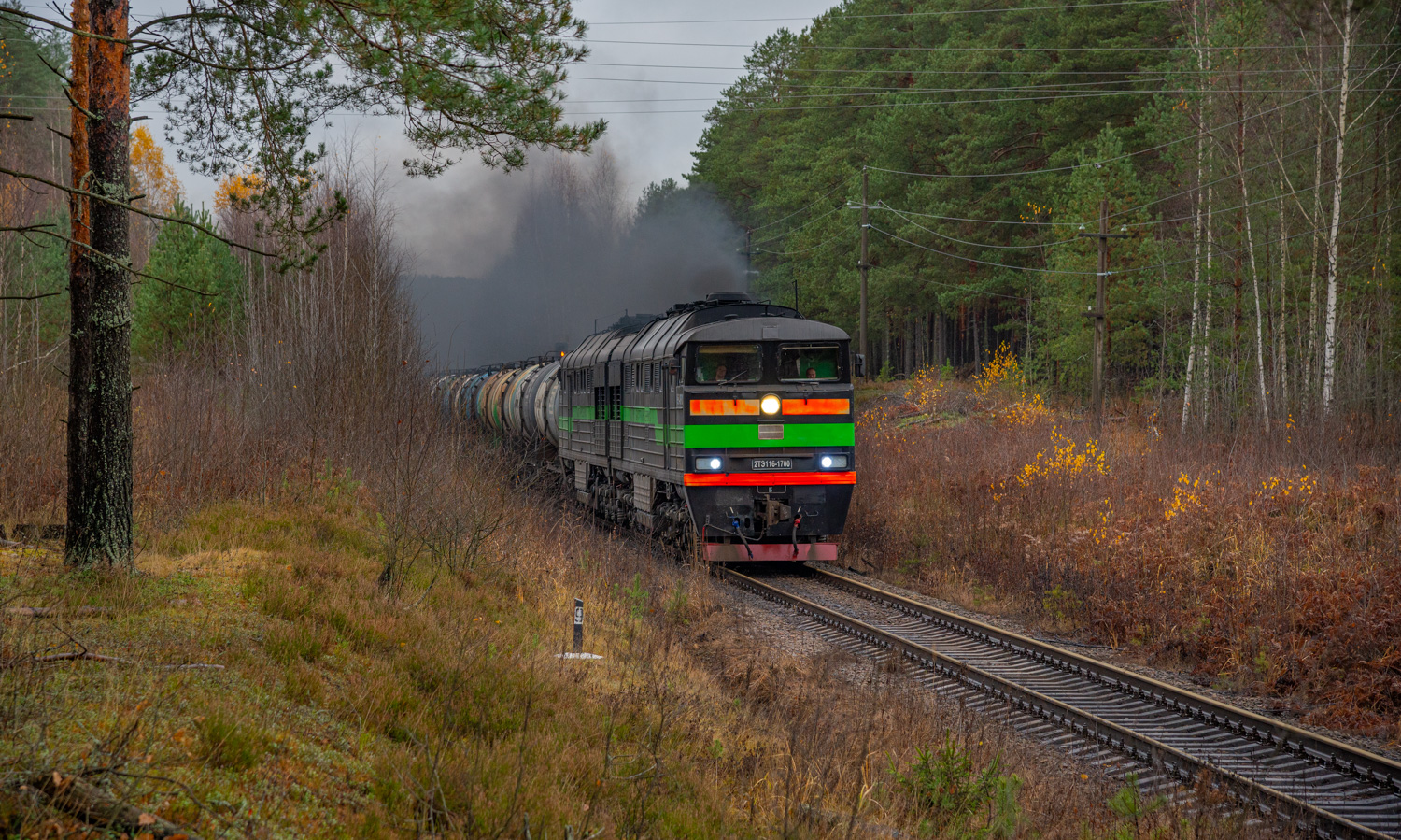 2ТЭ116-1700
