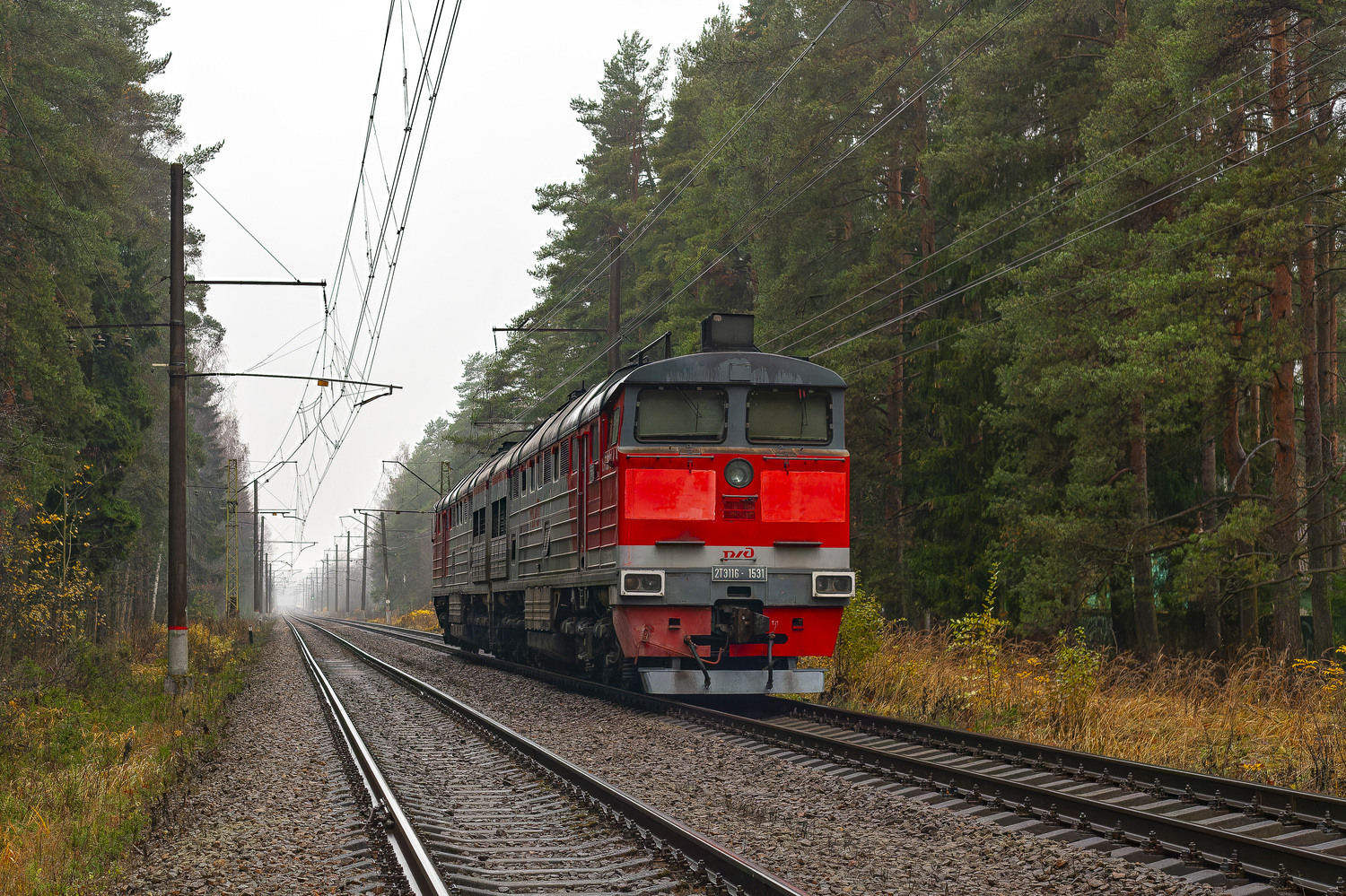2ТЭ116-1531