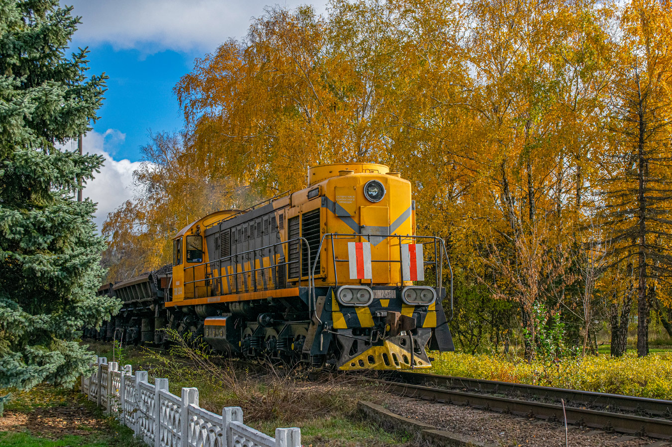 ТЭМ2-5344