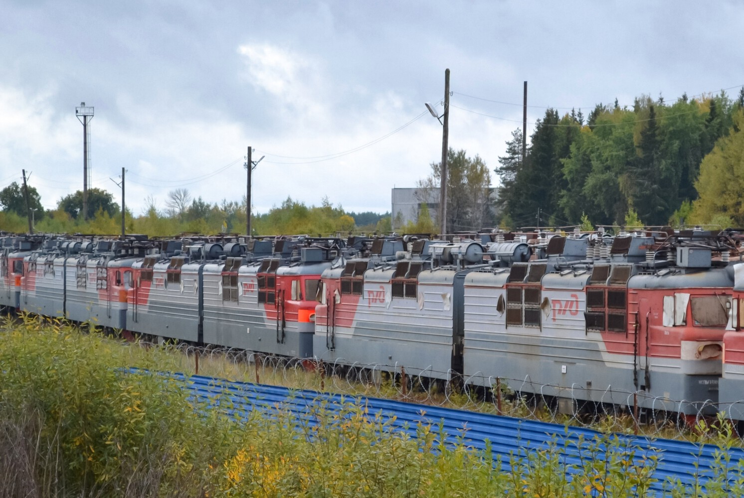 ВЛ80С-113