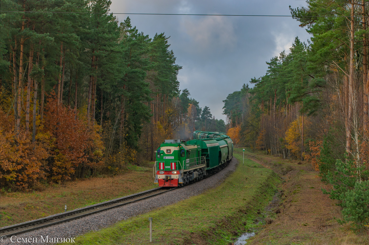 ТЭМ18ДМ-3099