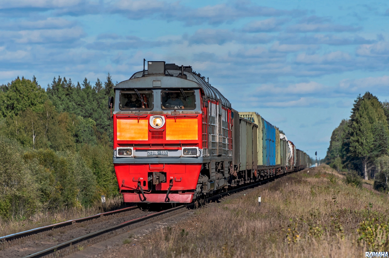 2ТЭ116-685