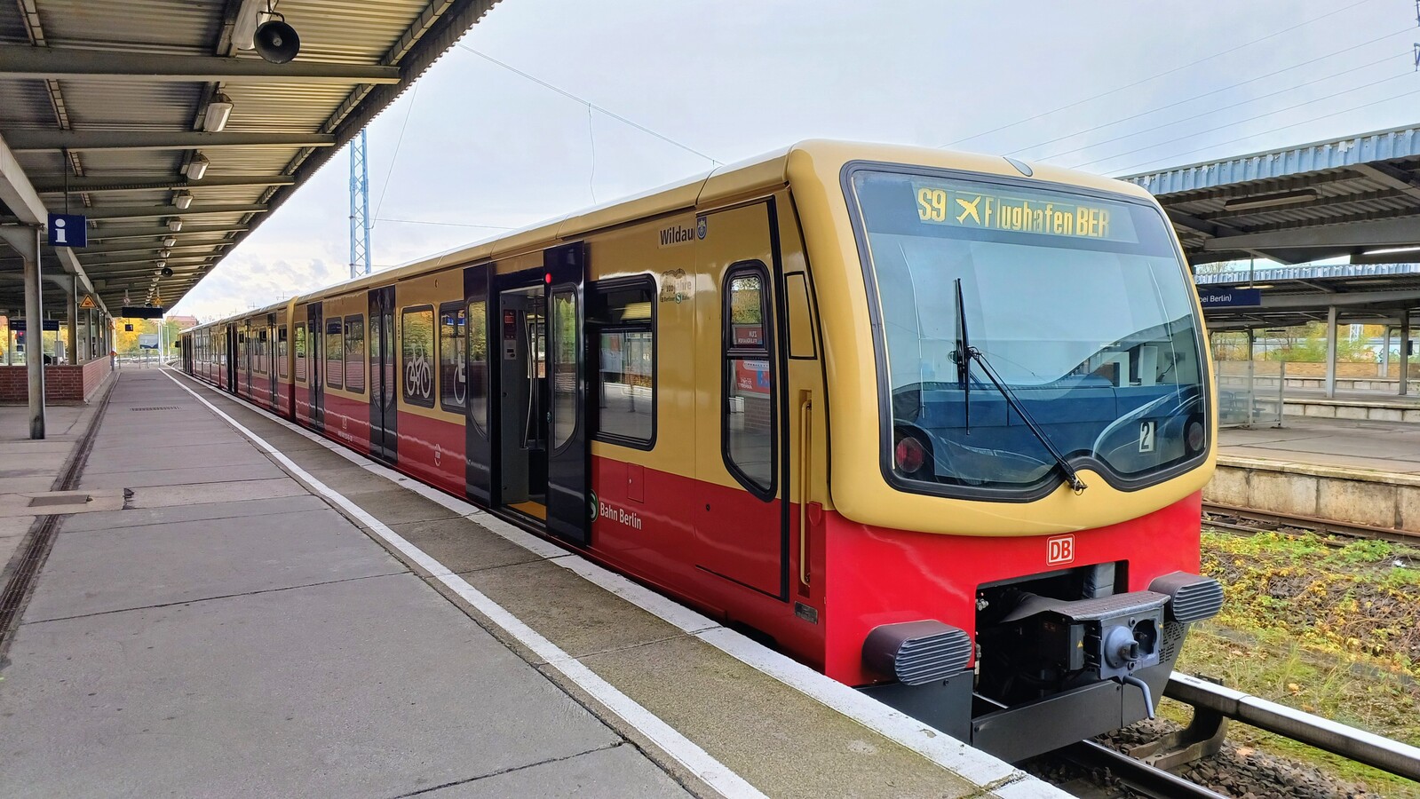 481 233-5