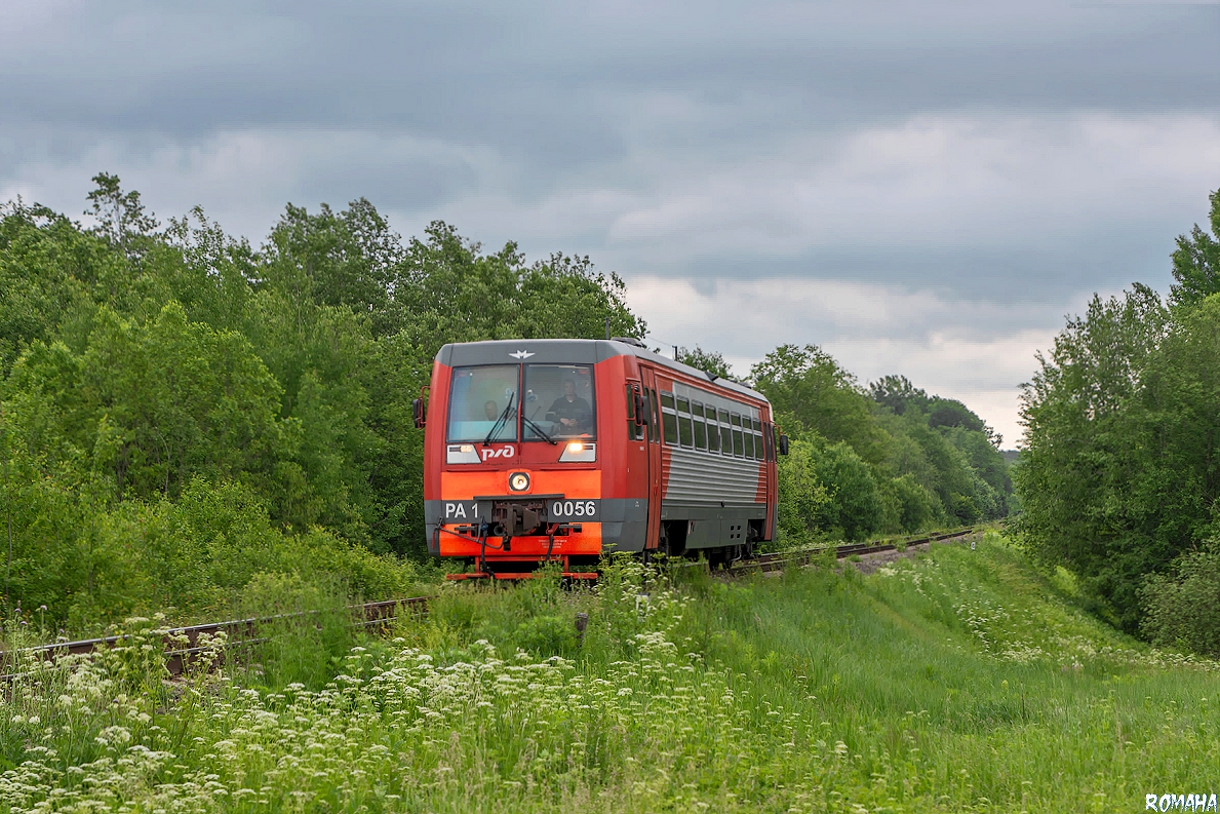 РА1-0056