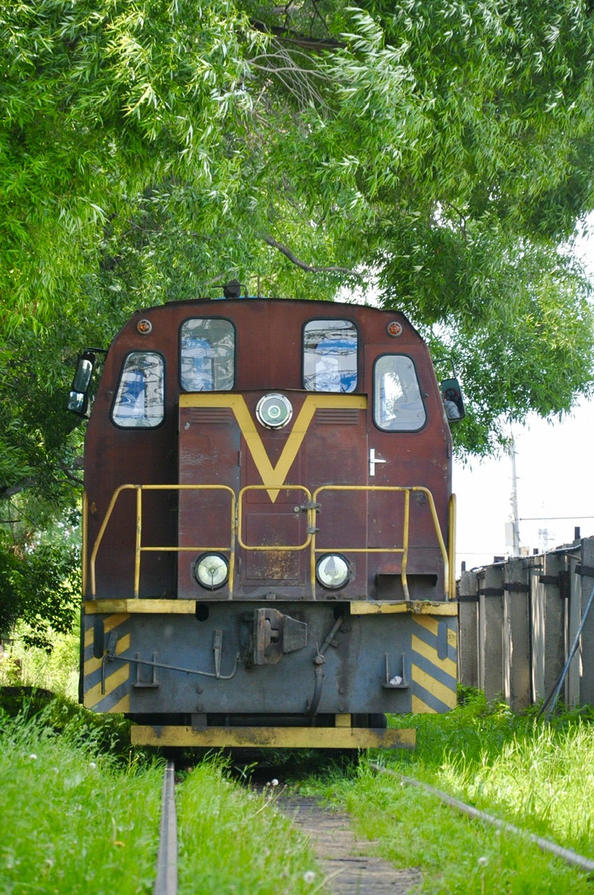 ТГМ23В48-1651