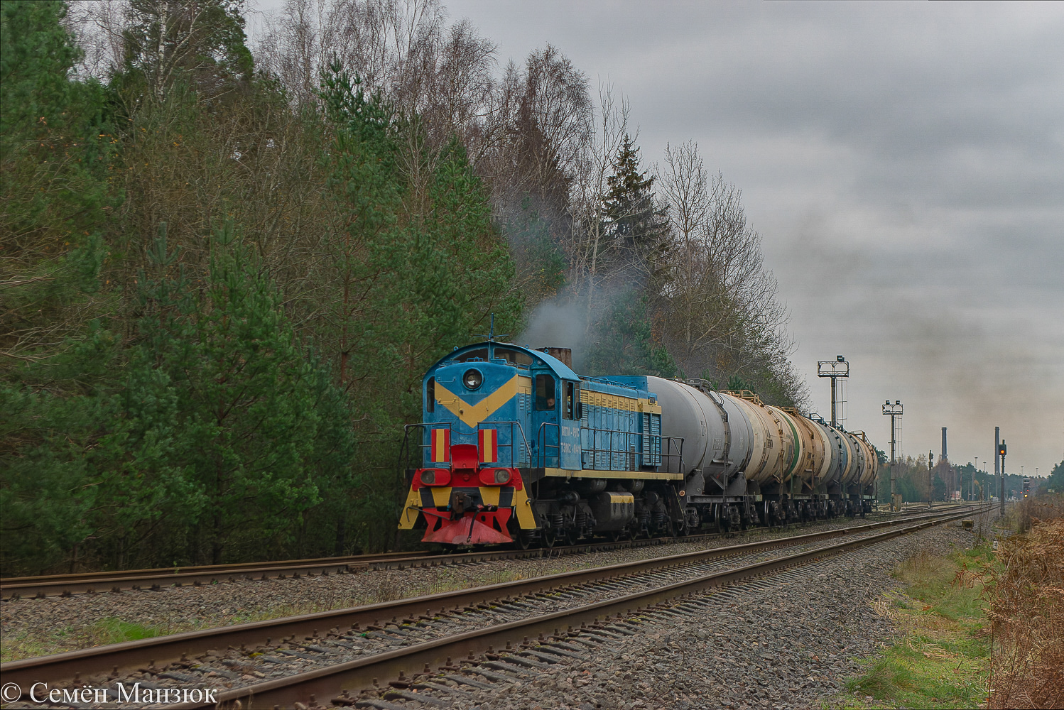 ТЭМ2-6411