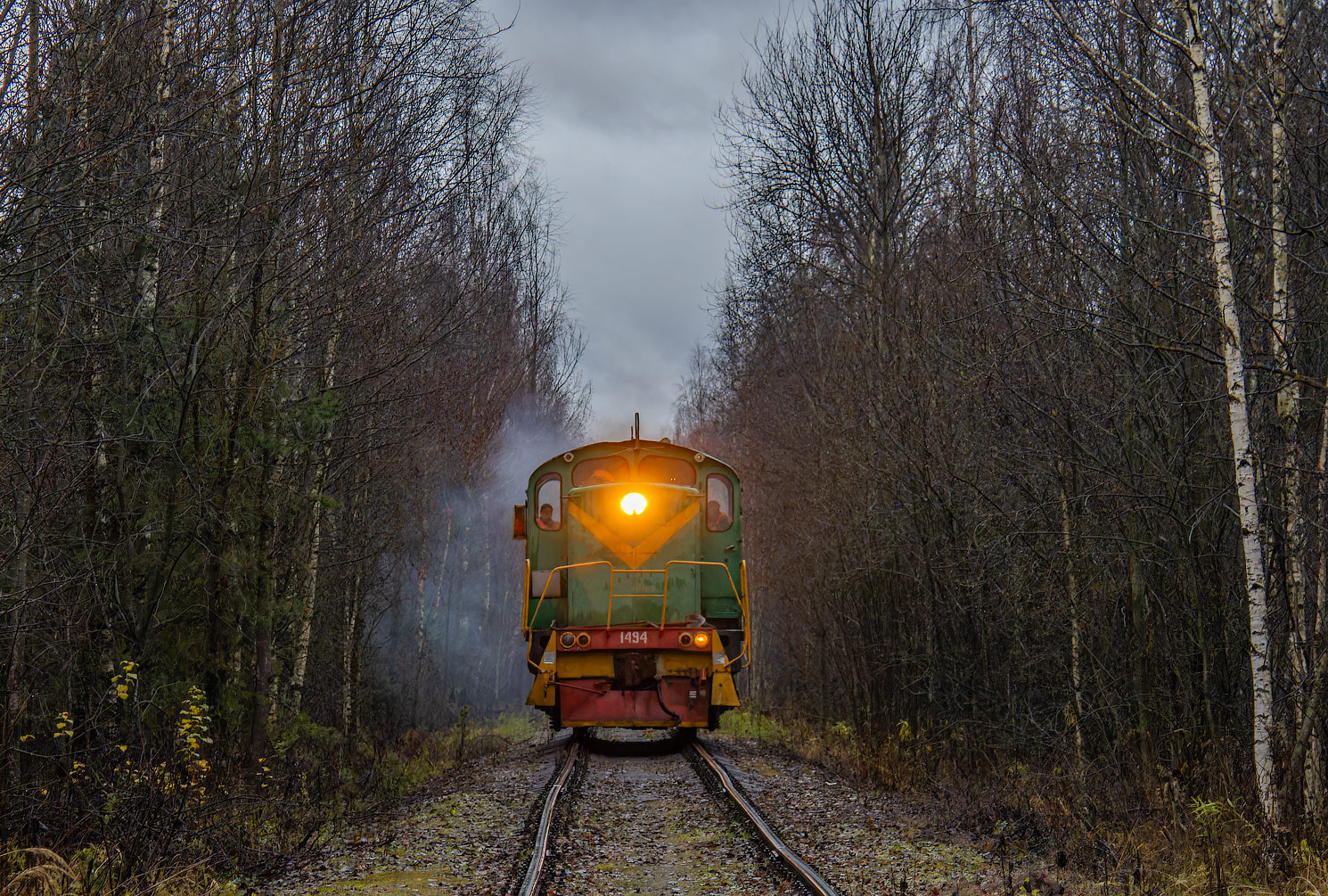 ТГМ4-1494