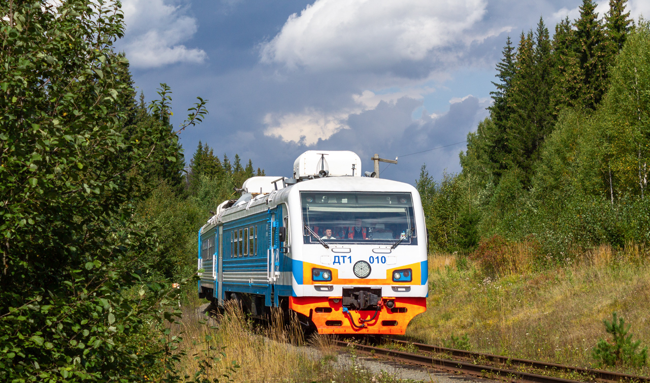 ДТ1-010