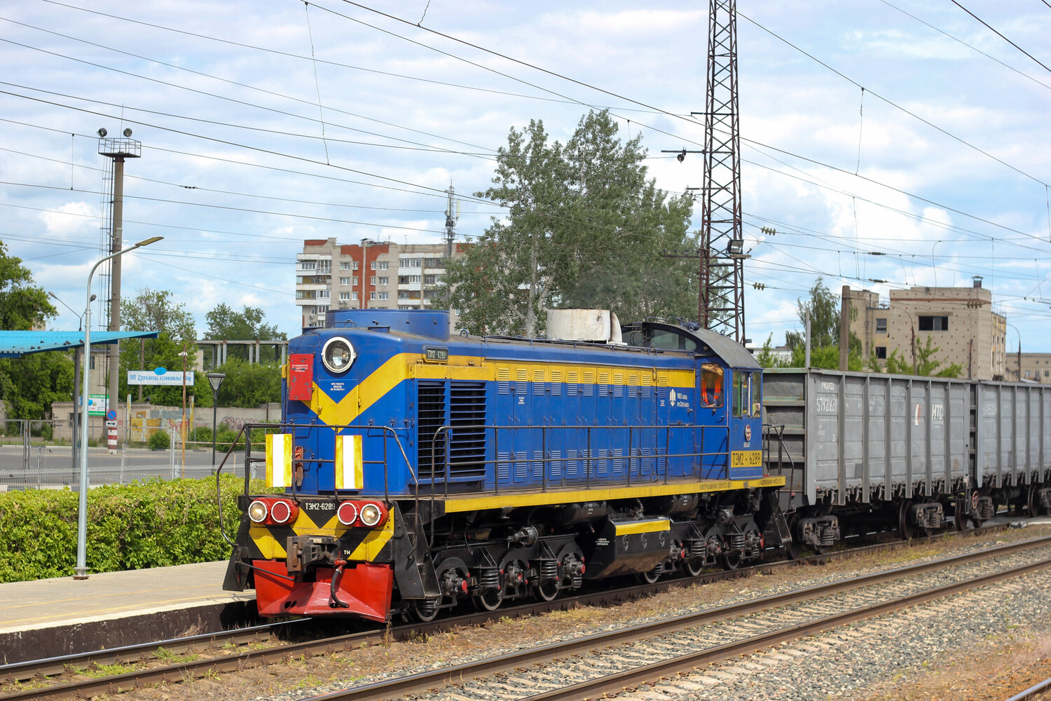 ТЭМ2-6289