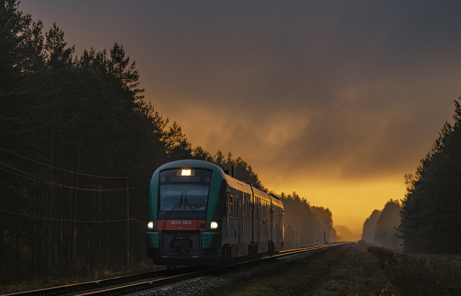 ДП3-003