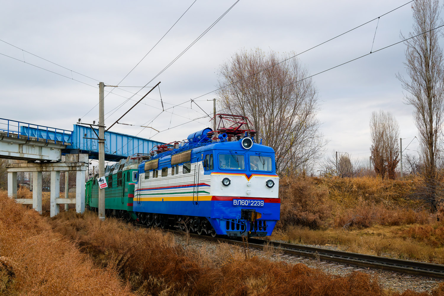 ВЛ60К-2239
