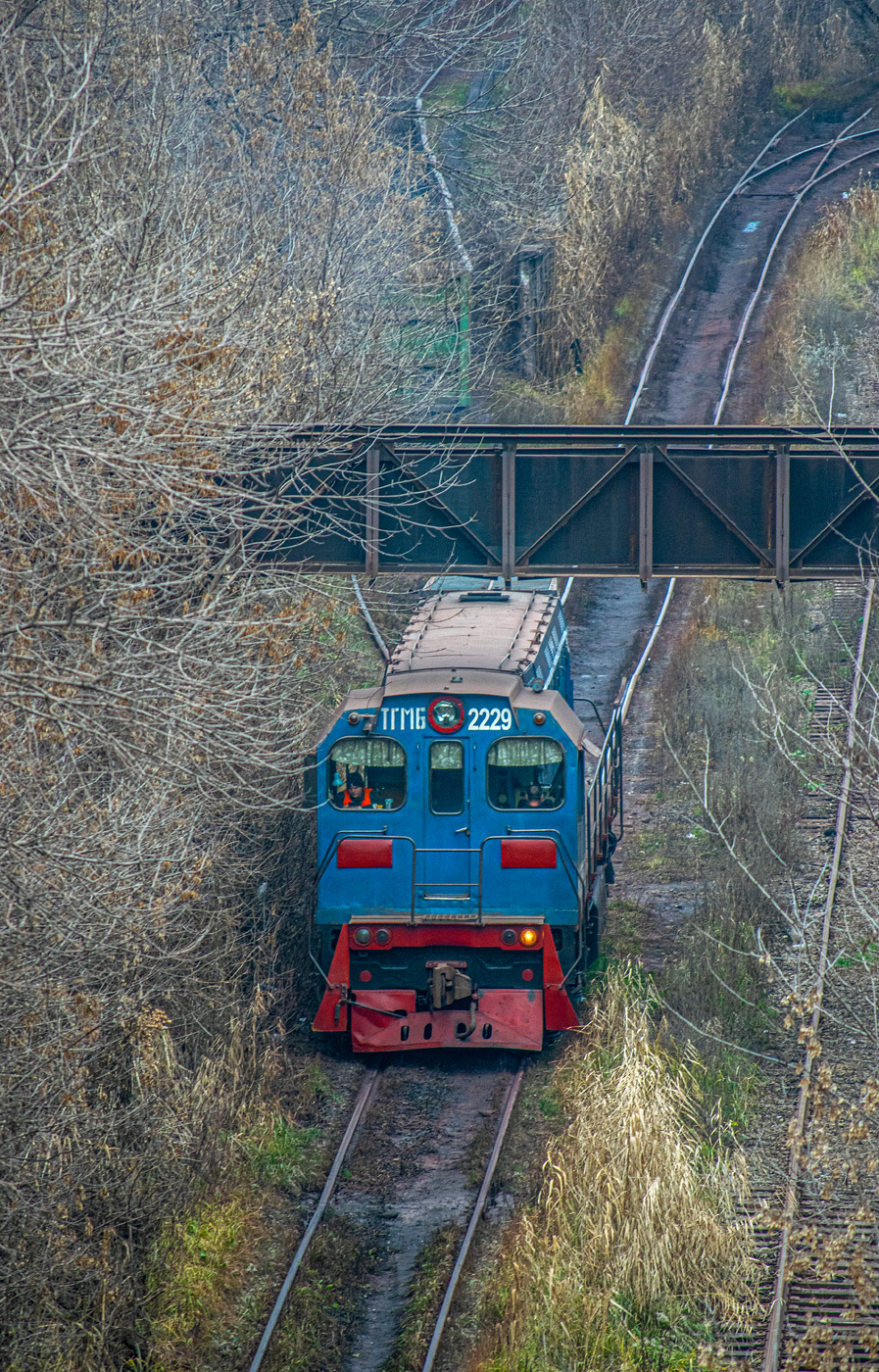ТГМ6А-2229