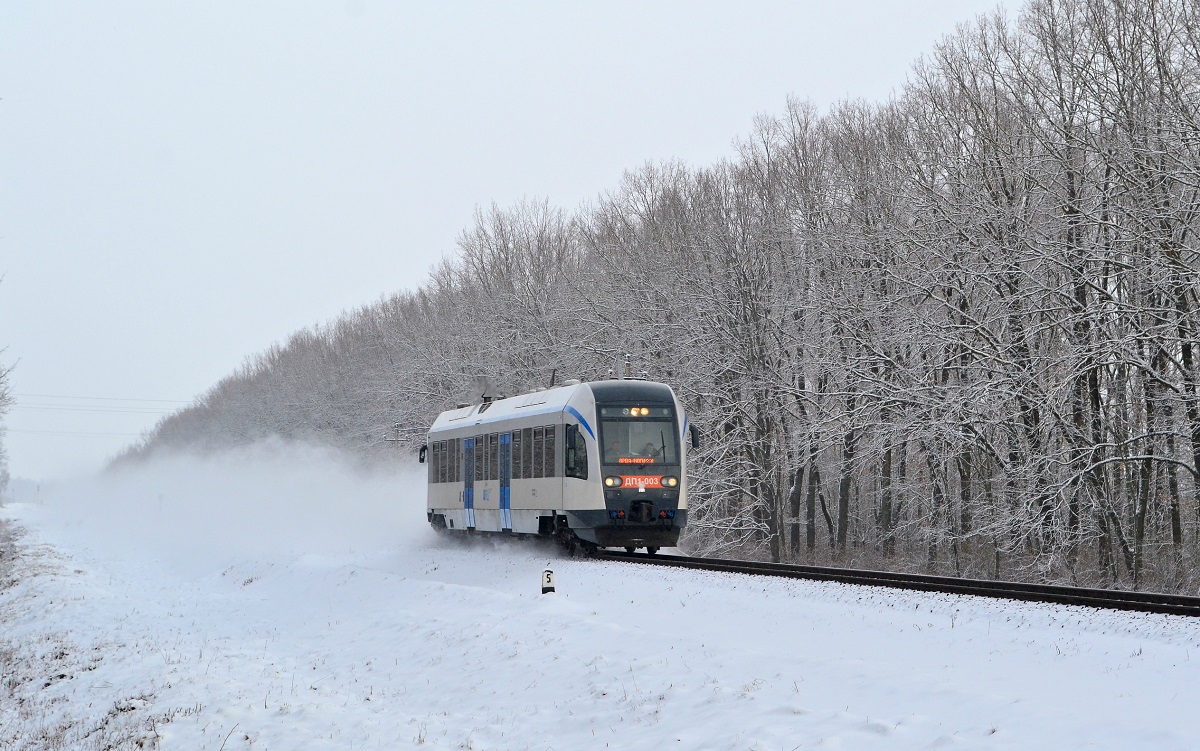 ДП1-003