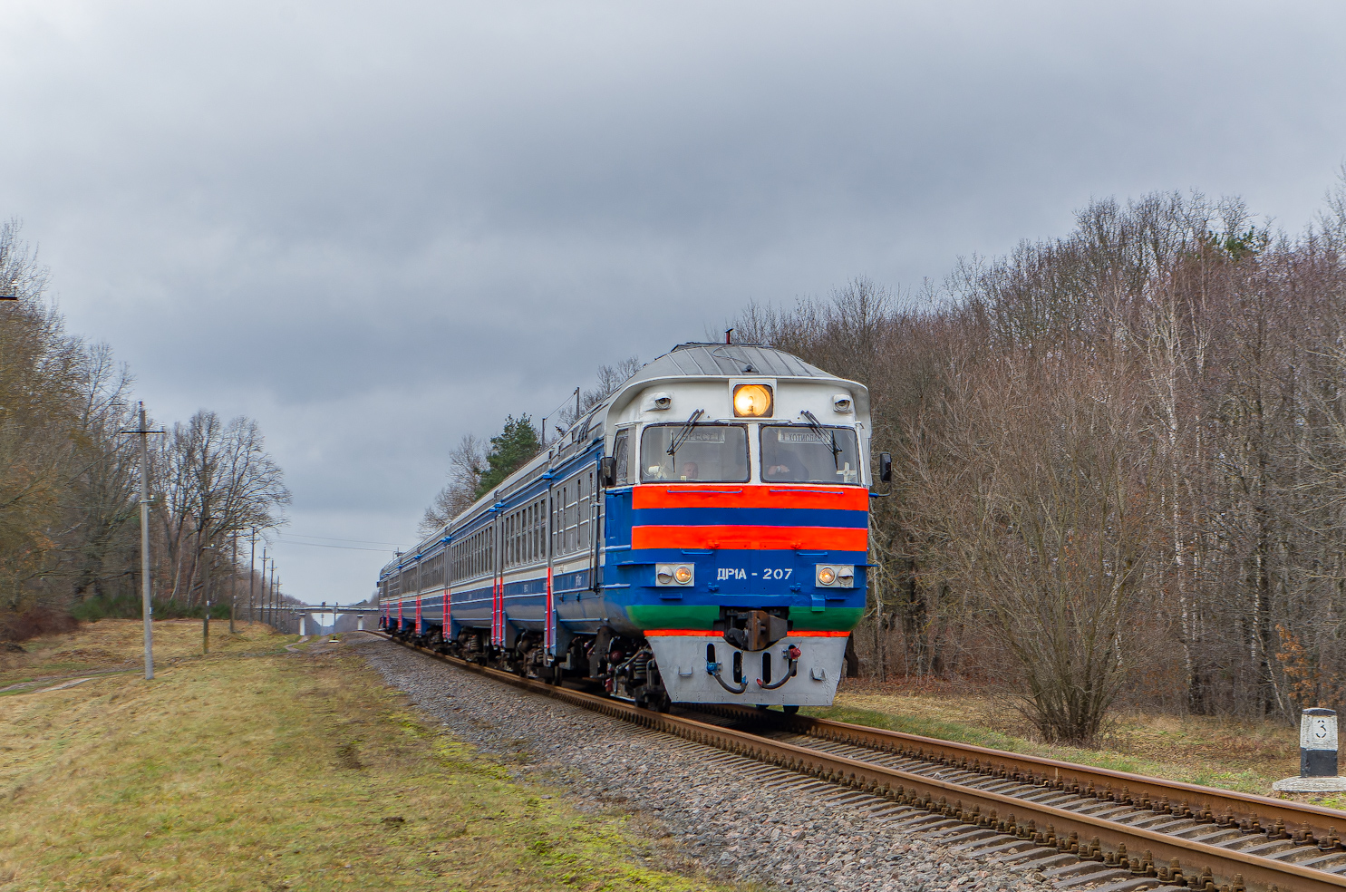 ДР1А-207