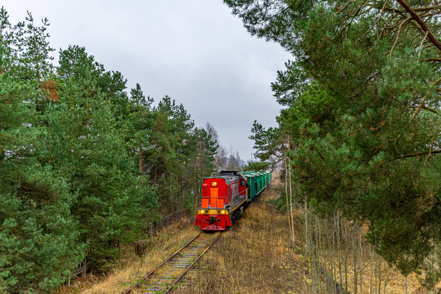 ТЭМ18Д-132