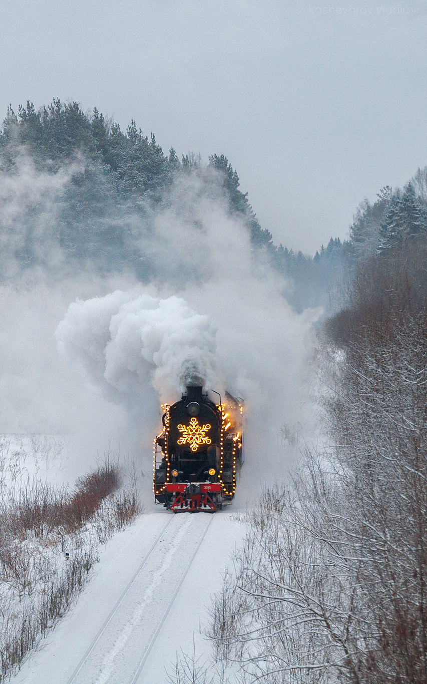 Л-3095