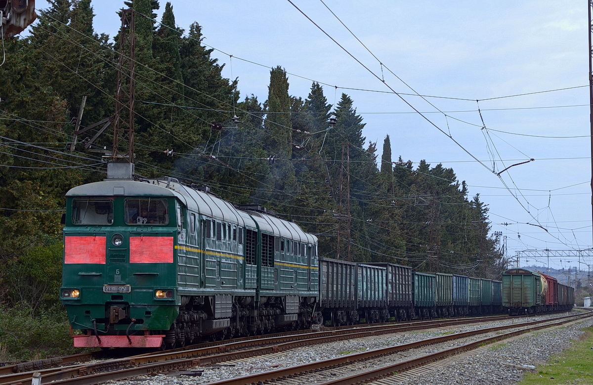 2ТЭ116-1251