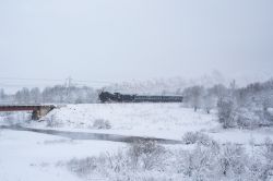 564 КБ