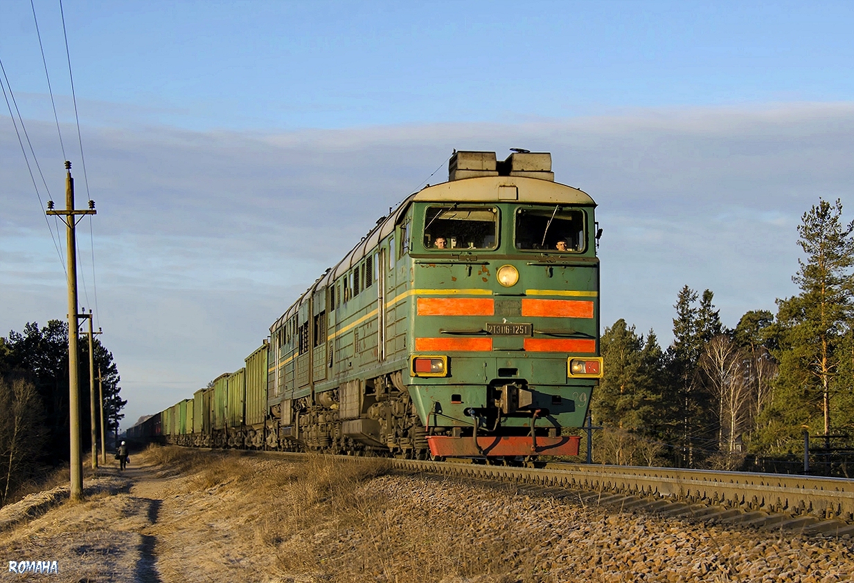 2ТЭ116-1251