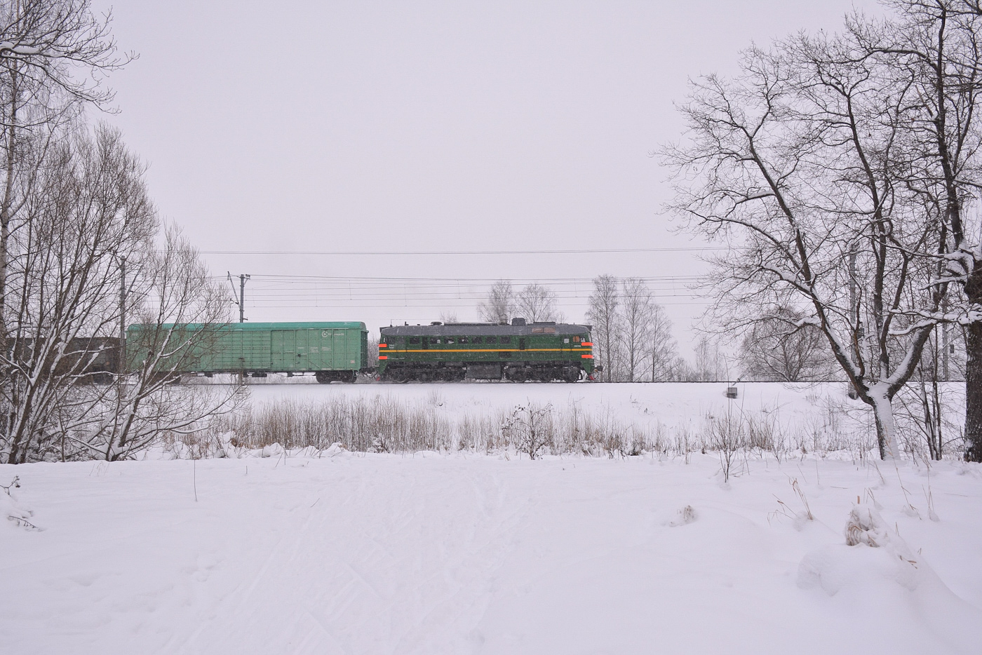 ДМ62-1781