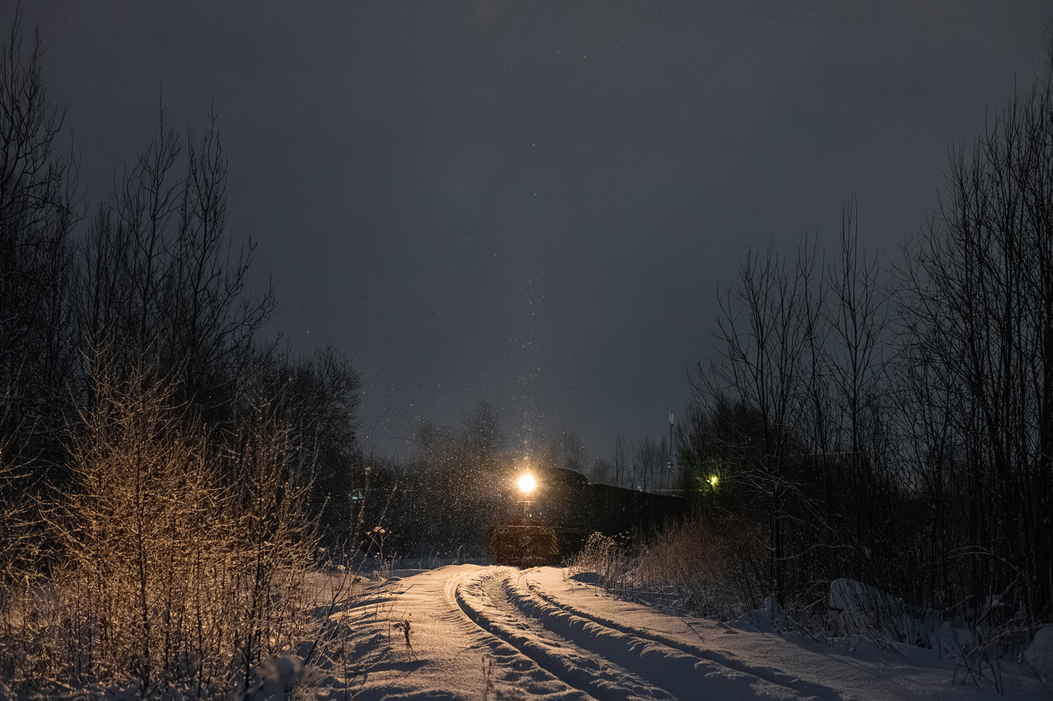 ТГМ4Л-2924