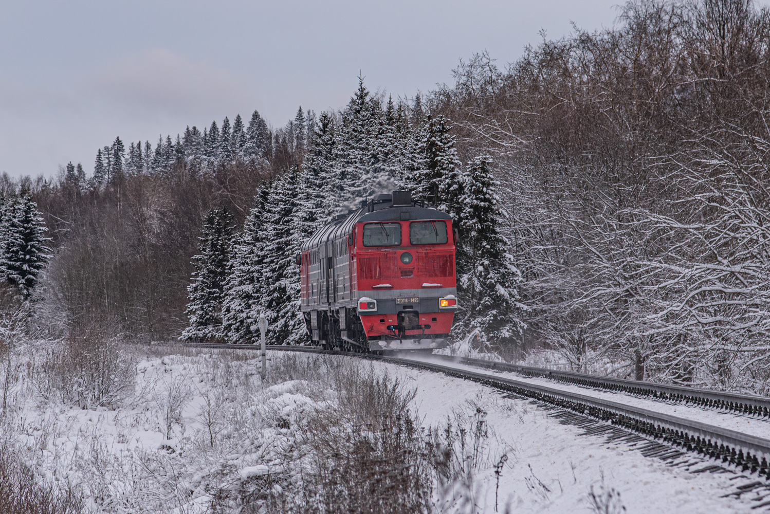 2ТЭ116-1495