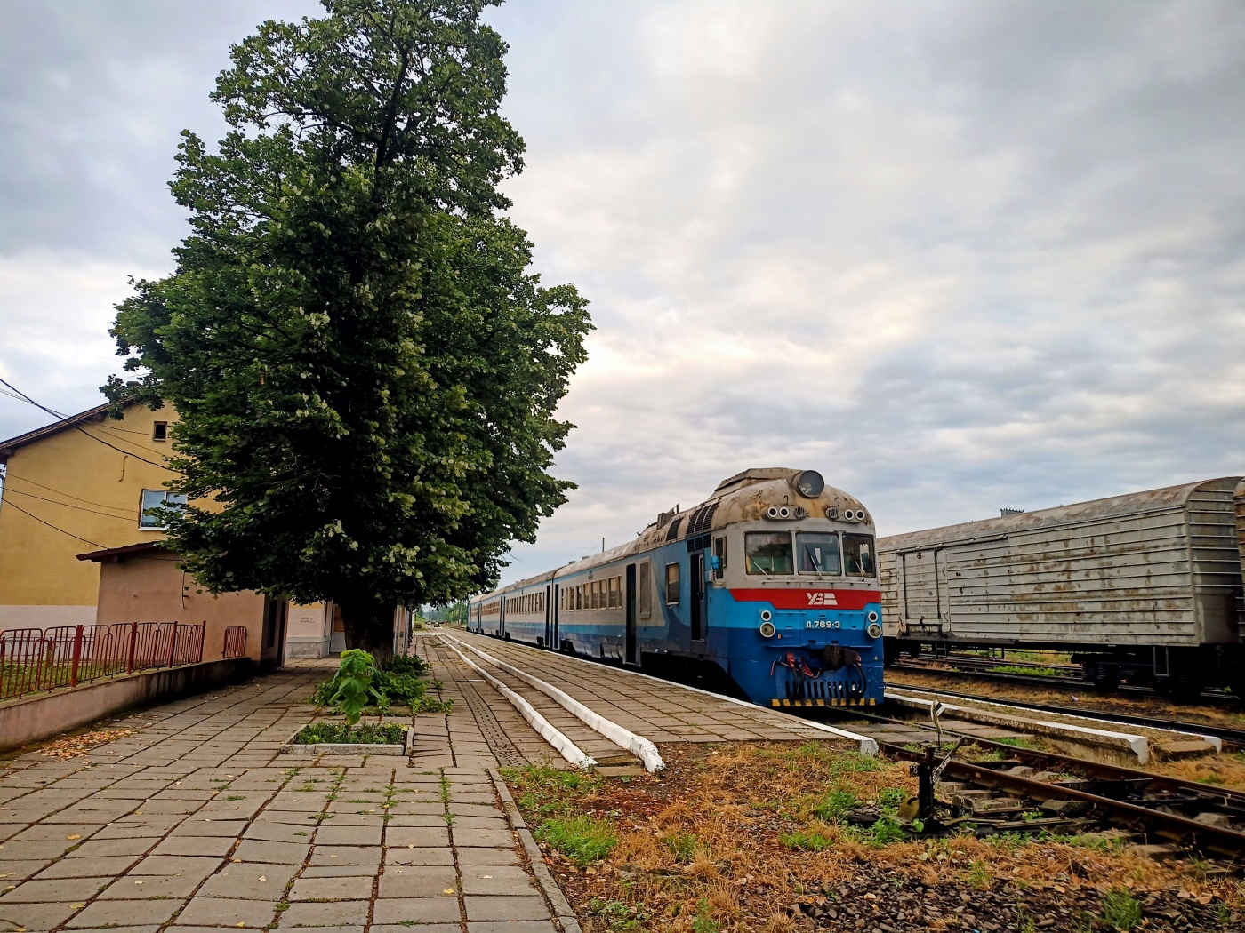 Д1-769