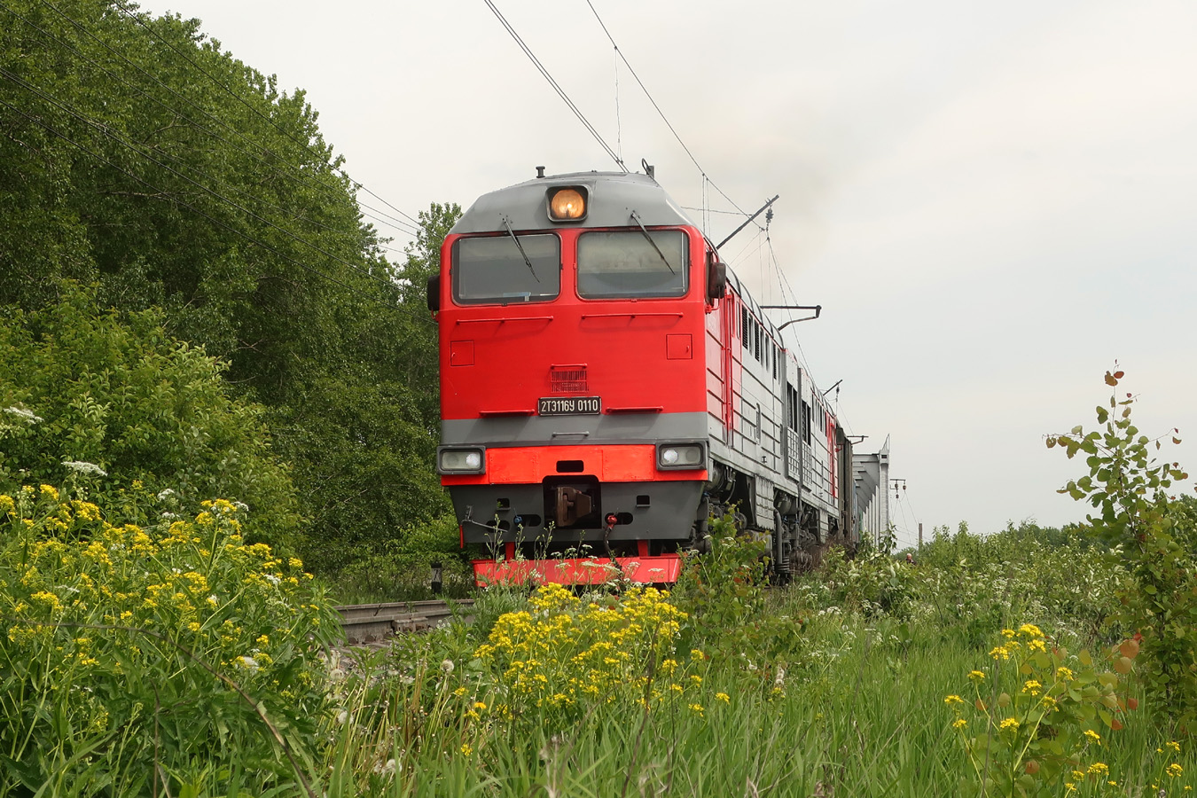 2ТЭ116У-0110