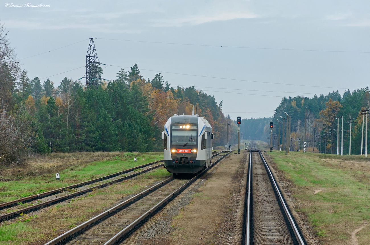 ДП1-003
