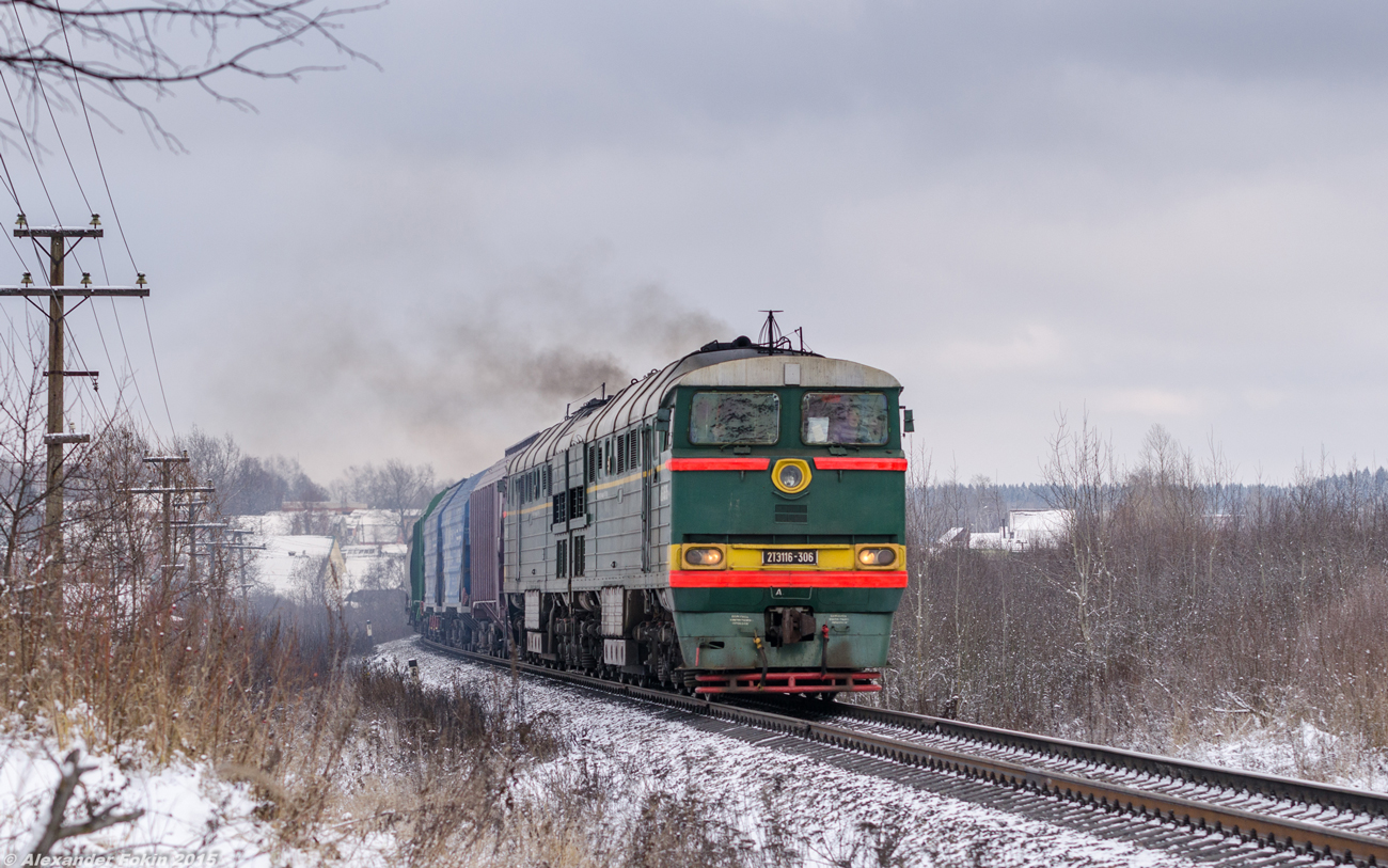 2ТЭ116-306