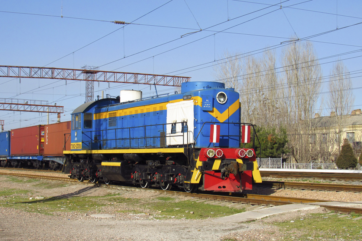 ТЭМ2-2309