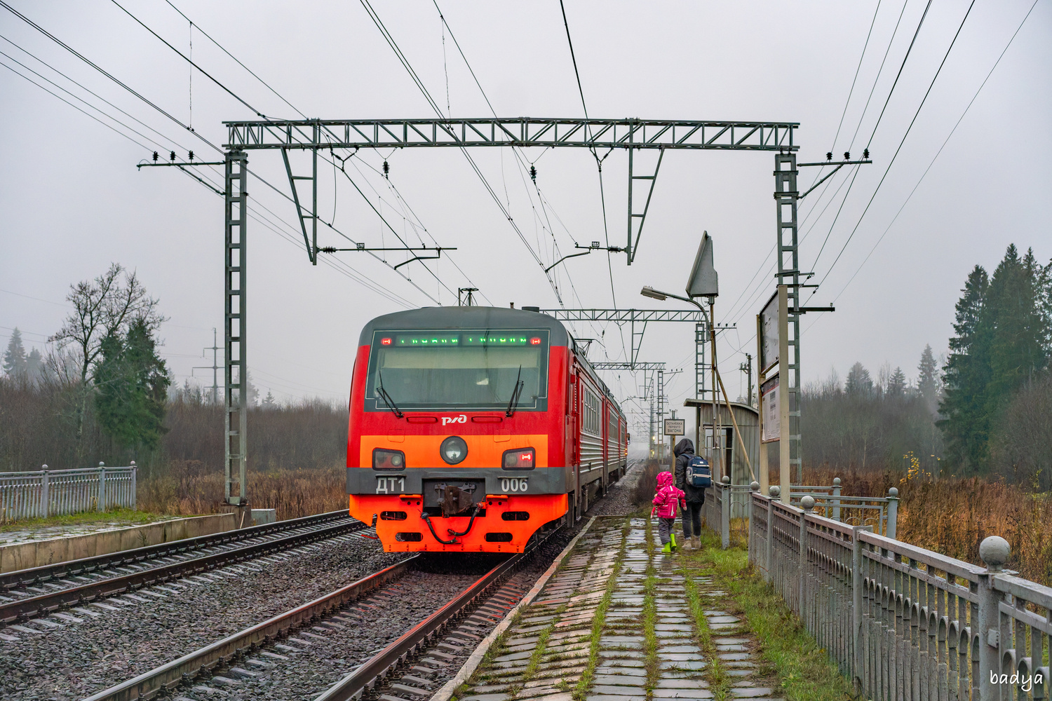 ДТ1-006