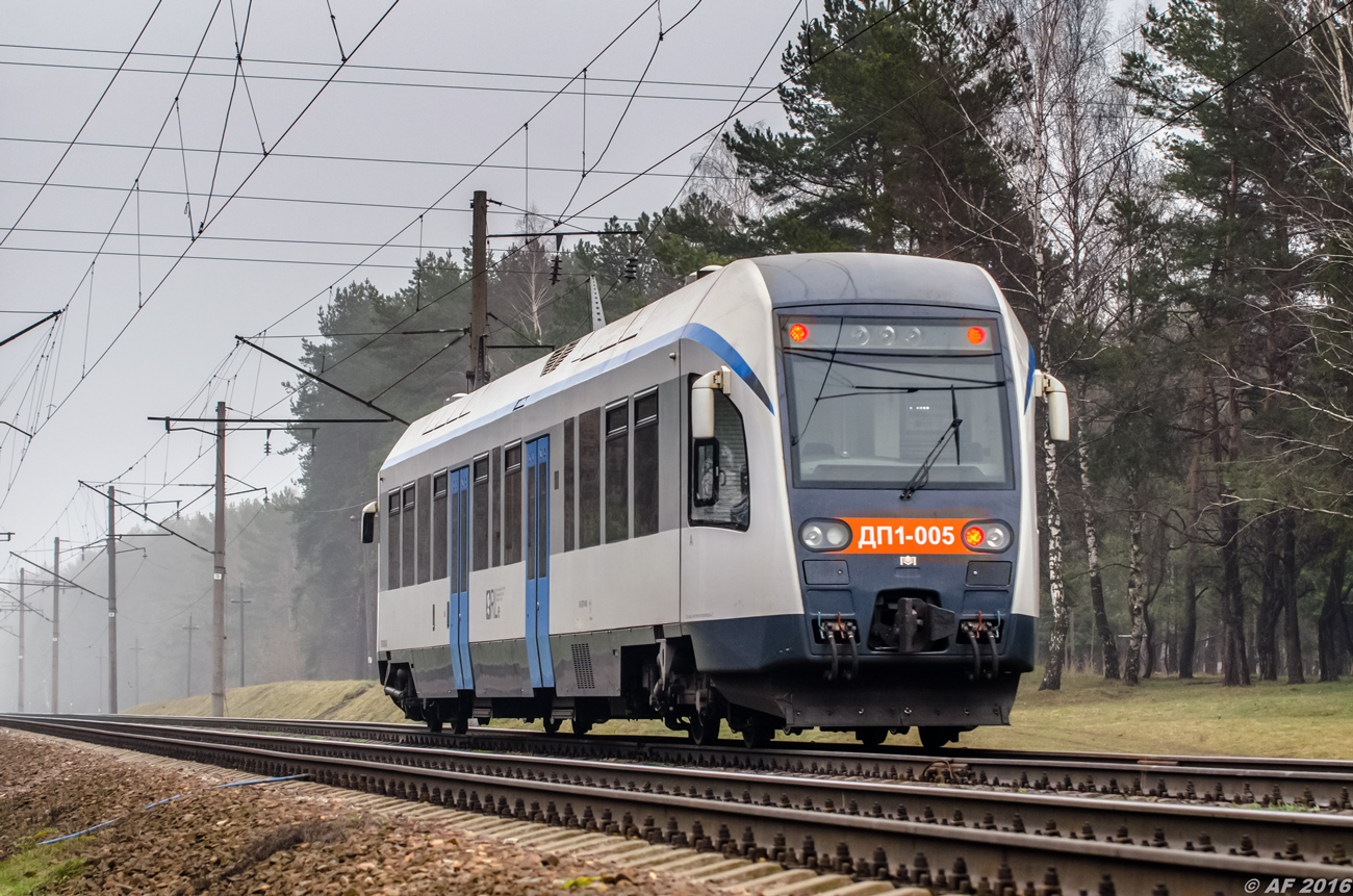 ДП1-005