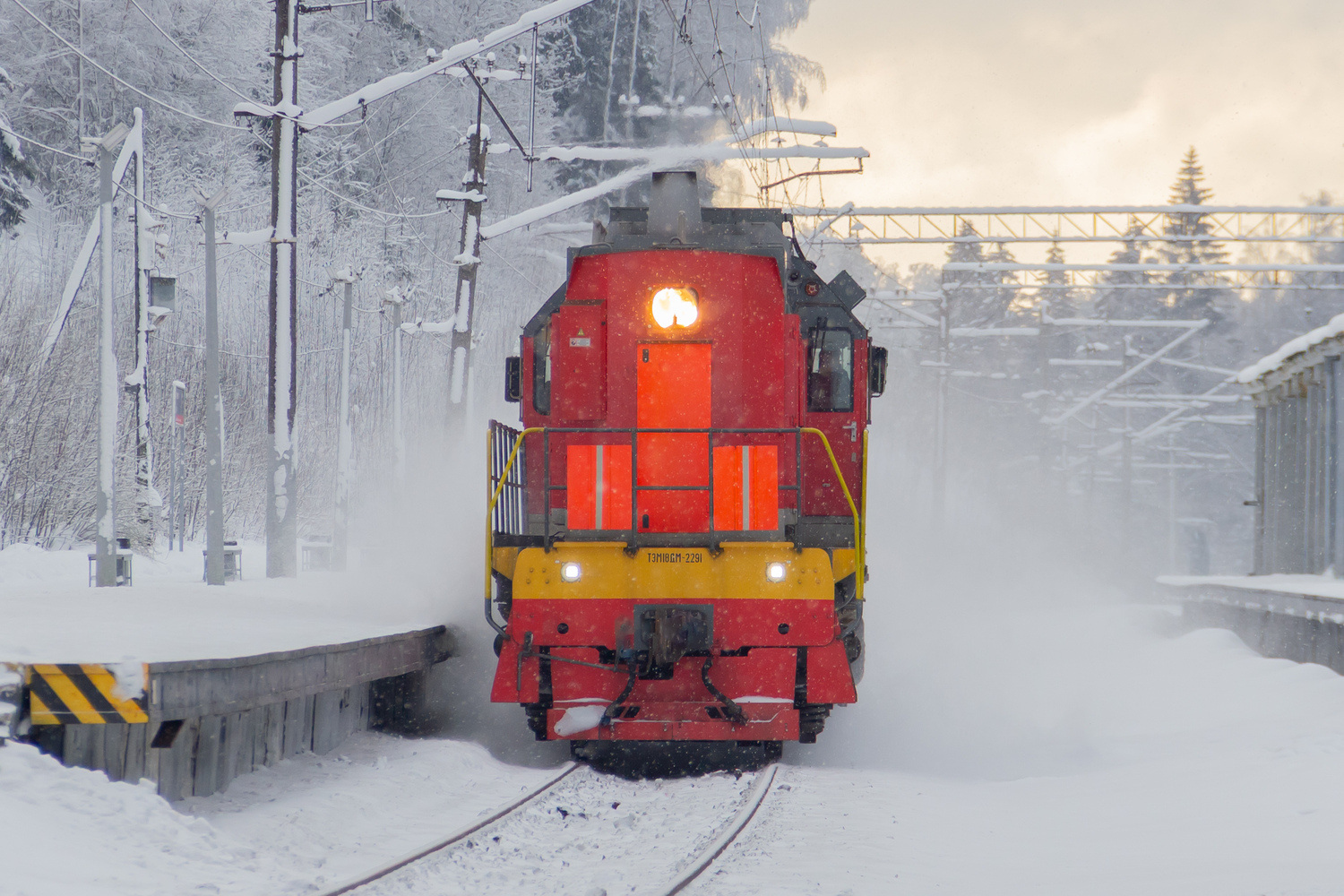 ТЭМ18ДМ-2291