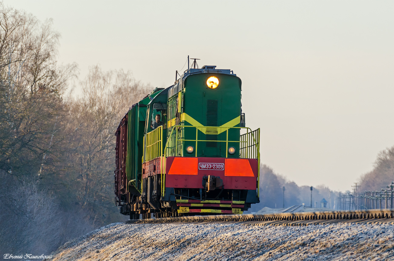 ЧМЭ3-2309