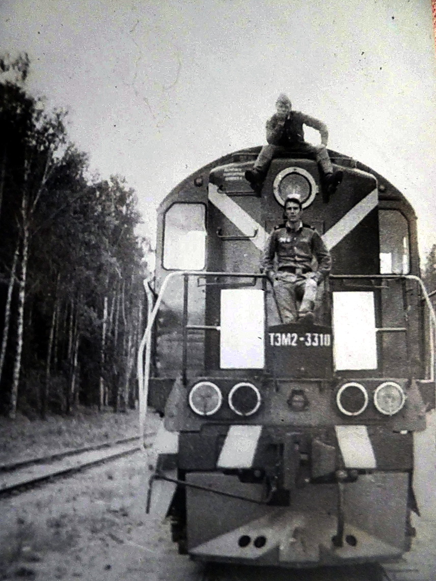 ТЭМ2-3310