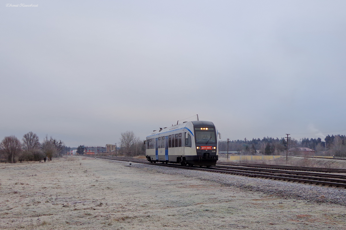 ДП1-005