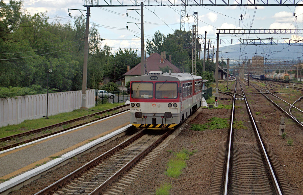 813 022-5