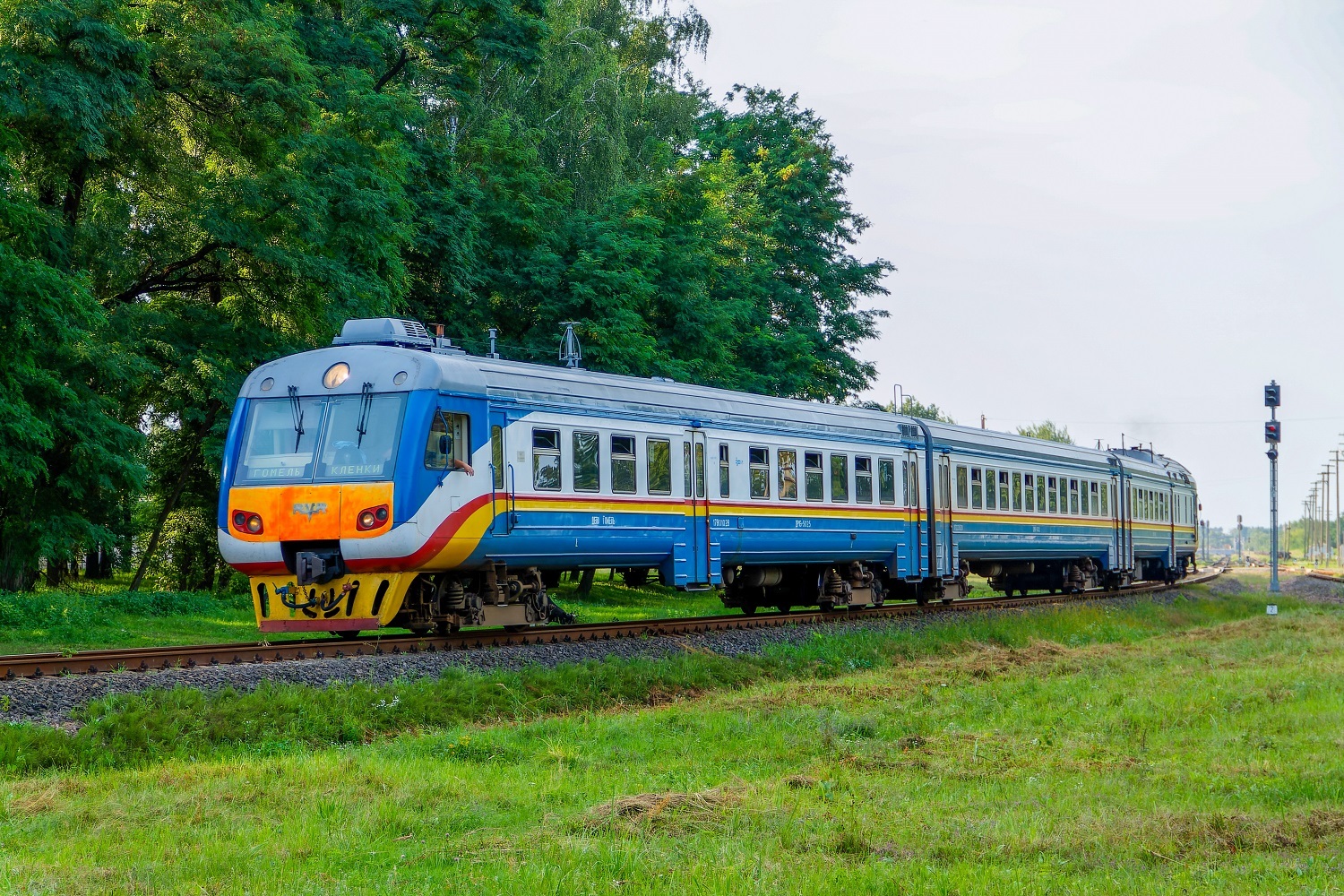 ДР1Б-502