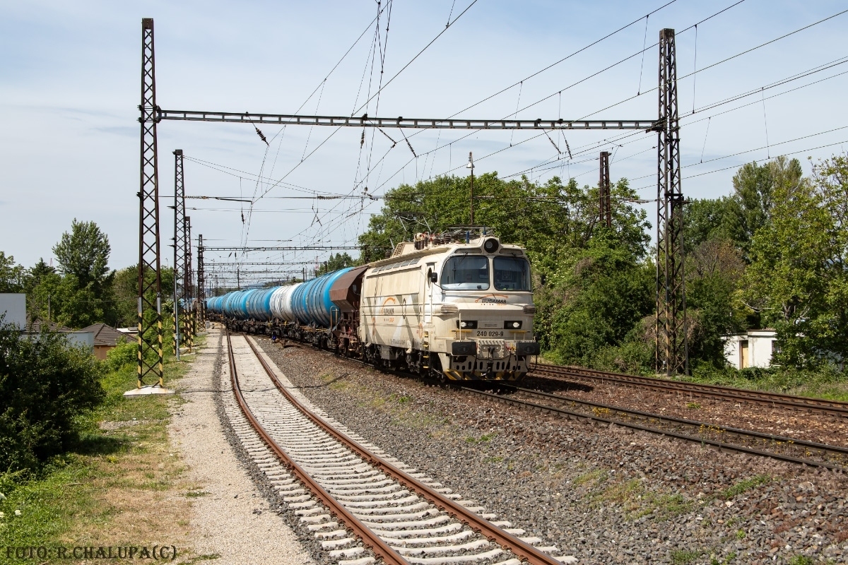 240 029-9