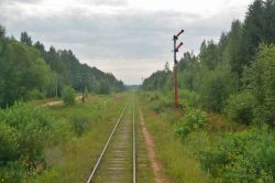 319 КБ