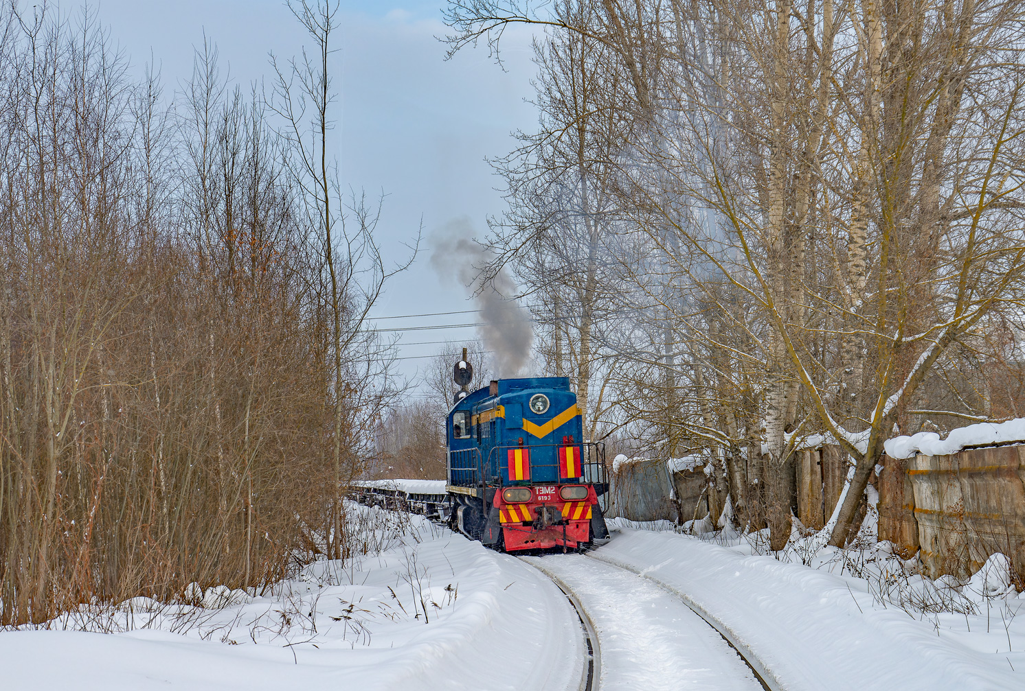 ТЭМ2-6193