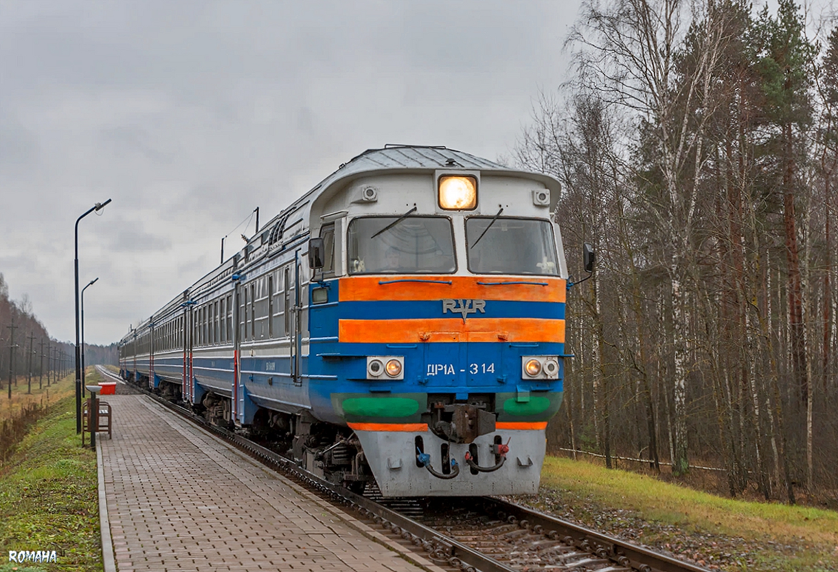 ДР1А-314