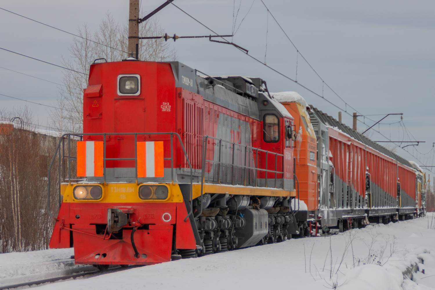 ТЭМ18ДМ-491